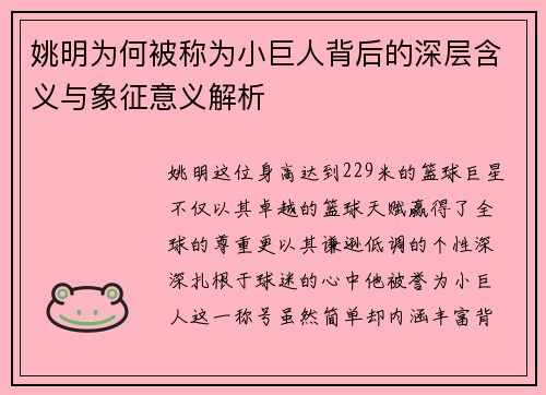 姚明为何被称为小巨人背后的深层含义与象征意义解析